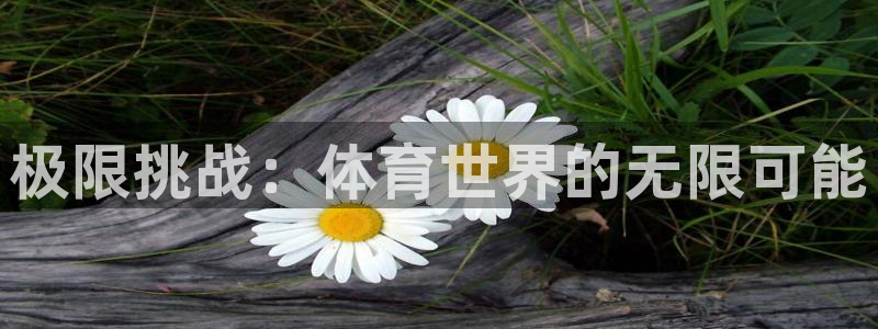 米兰体育官网下载招商电话是多少号码:极限挑战:体育世界的无限