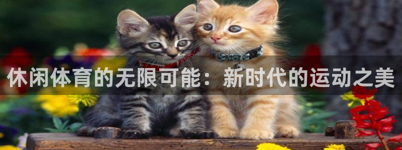 米兰体育官方正版app娱乐:休闲体育的无限可能:新时代的运动